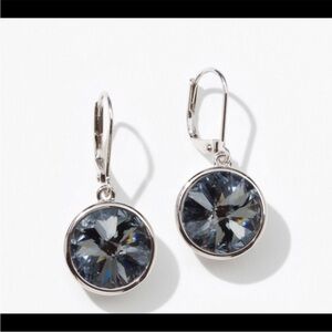 Touchstone Crystal Silver Earrings -LuLu New
